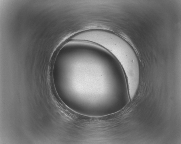 X0000061140387200511181012