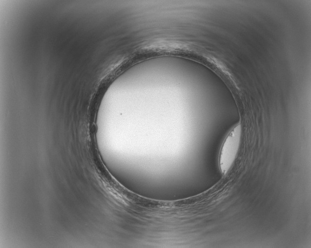 X0000061140399200511181012
