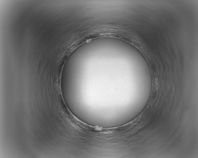 X0000061140411200511181011