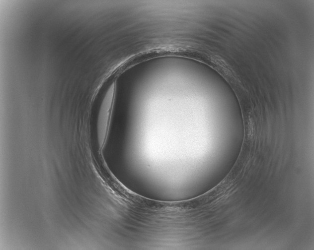 X0000061140444200511181010