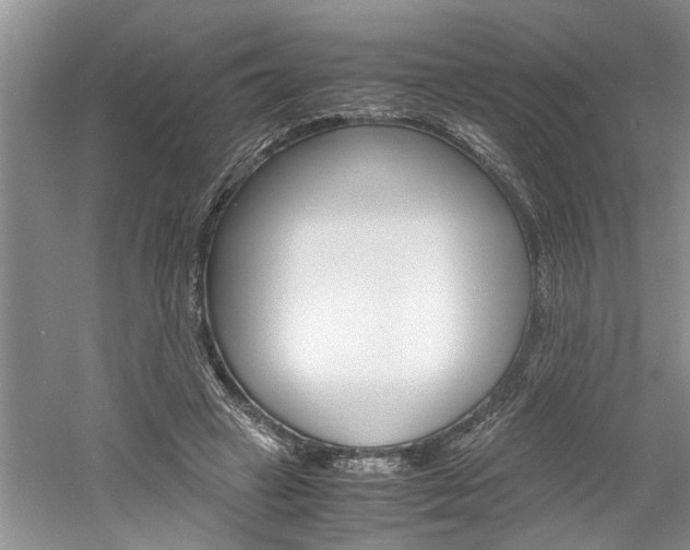 X0000061140449200511181011