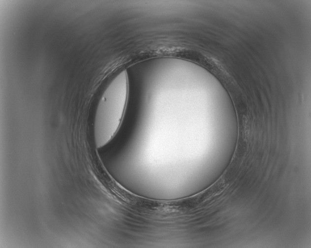 X0000061140451200511181011