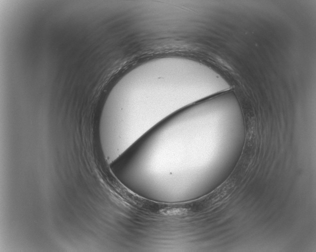X0000061140452200511181011
