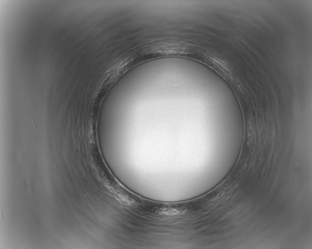 X0000061140453200511181011