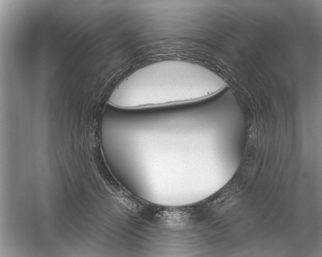 X0000061140464200511181011