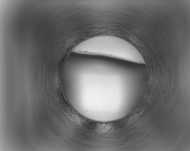 X0000061140469200511181011