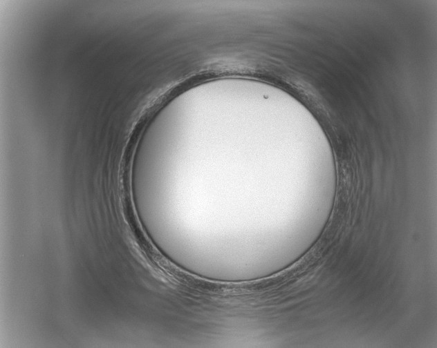 X0000061140487200511181010