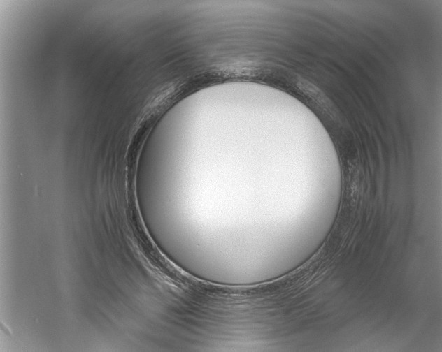 X0000061140494200511181010