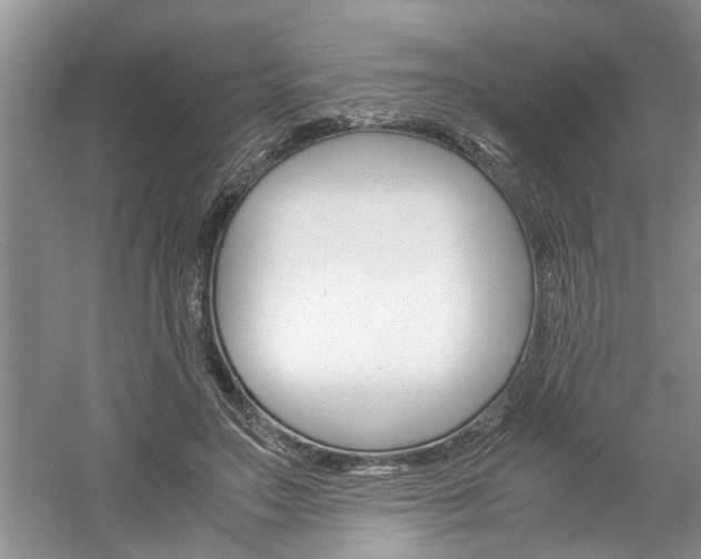 X0000061140499200511181010