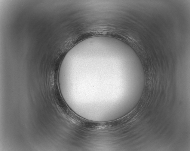 X0000061140504200511181010