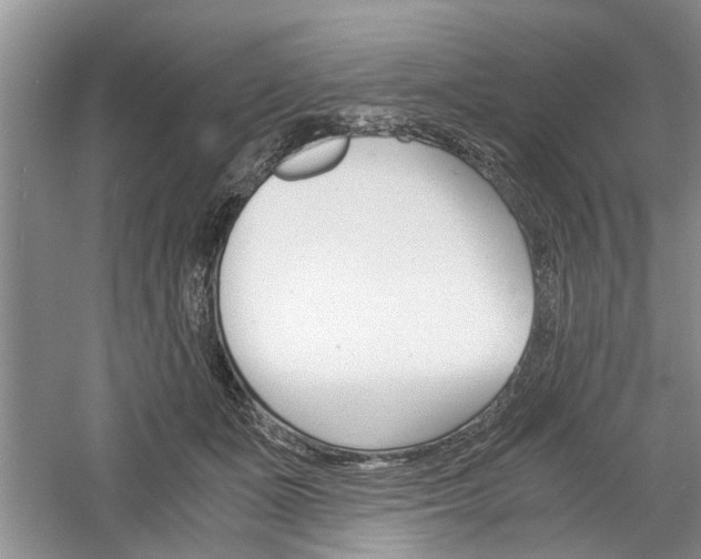 X0000061140511200511181010