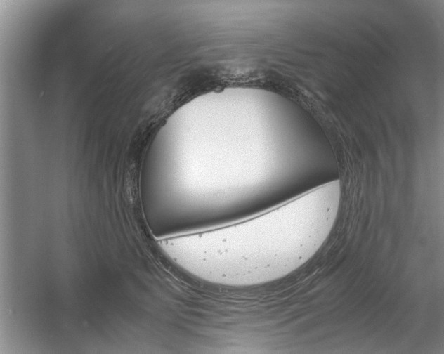 X0000061140515200511181010