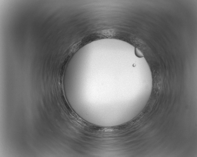 X0000061140518200511181010