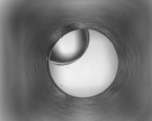 X0000061140525200511181010