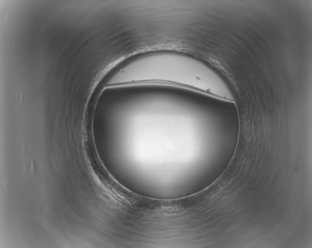 X0000061140536200511181009