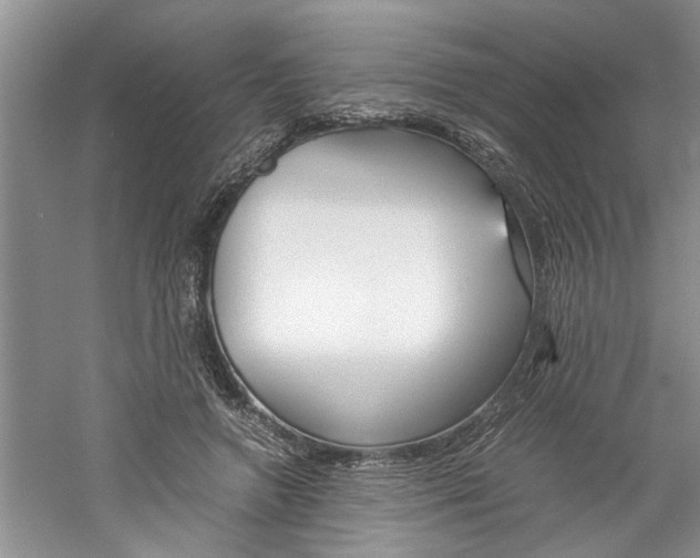 X0000061140546200511181009