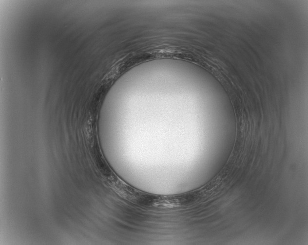 X0000061140559200511181009