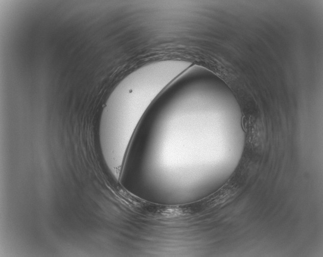 X0000061140562200511181009