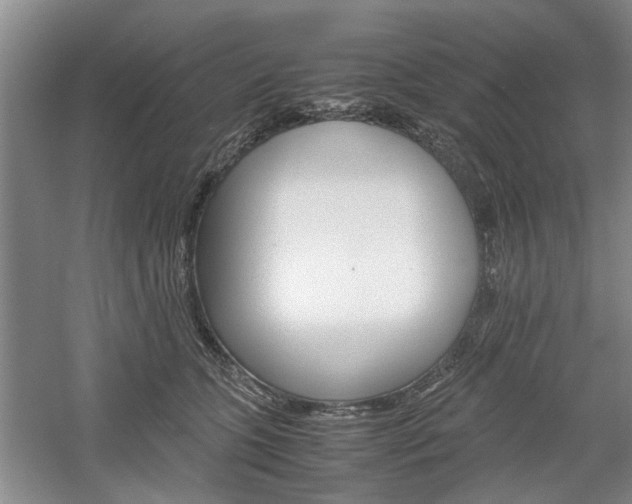 X0000061140563200511181009