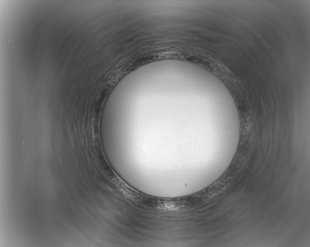 X0000061140565200511181009