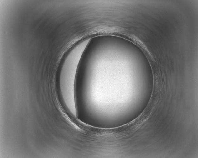 X0000061140581200511181009