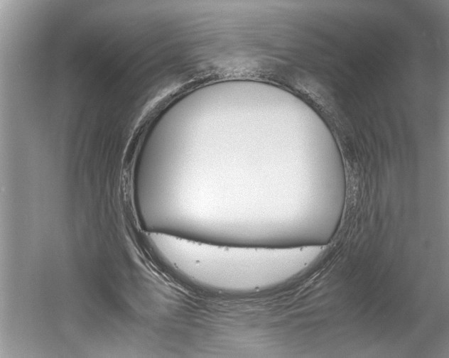 X0000061140583200511181009