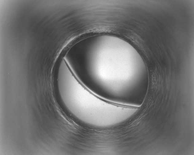 X0000061140584200511181009