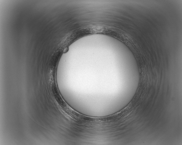 X0000061140598200511181008