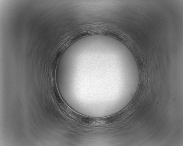 X0000061140599200511181008