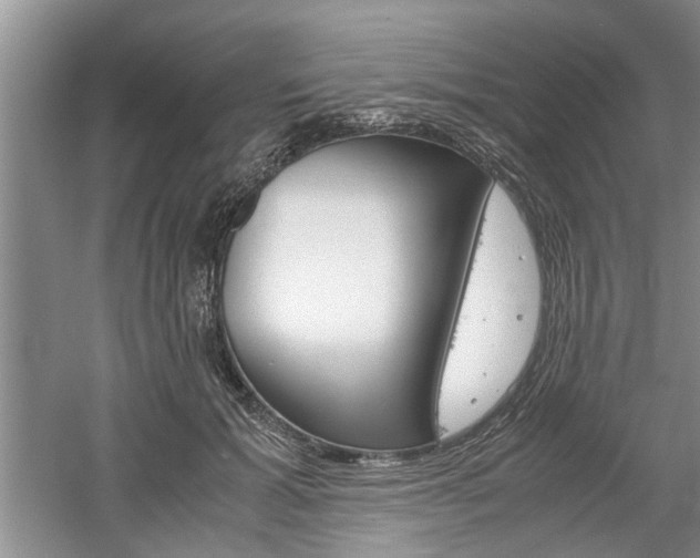 X0000061140605200511181008