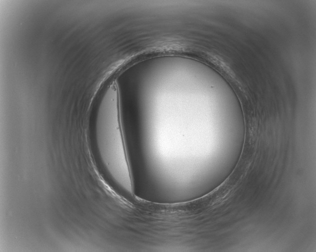 X0000061140629200511181007