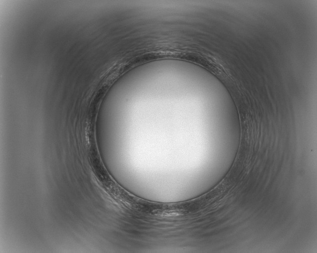 X0000061140643200511181007