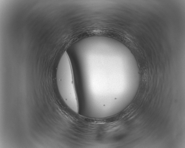 X0000061140651200511181007