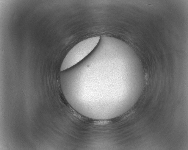 X0000061140671200511181008