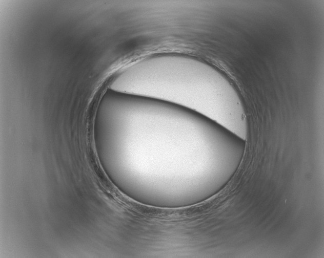 X0000061140675200511181007