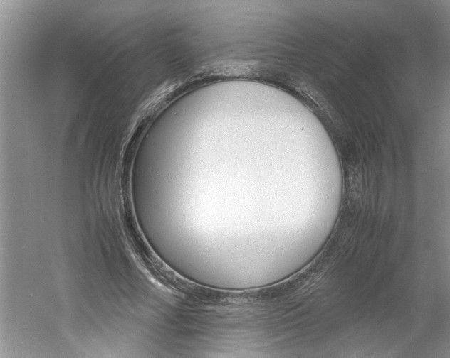 X0000061140682200511181007