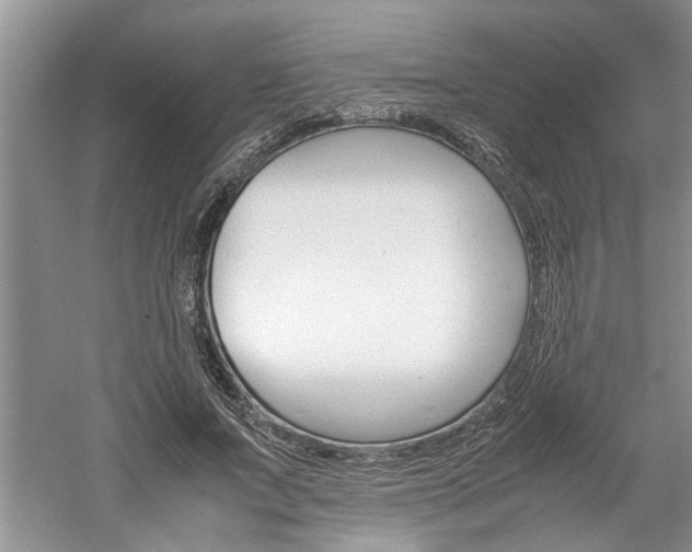 X0000061140687200511181007