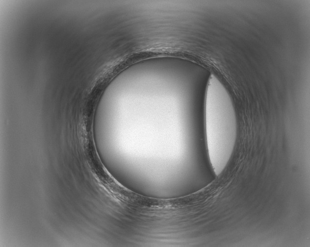 X0000061140688200511181007