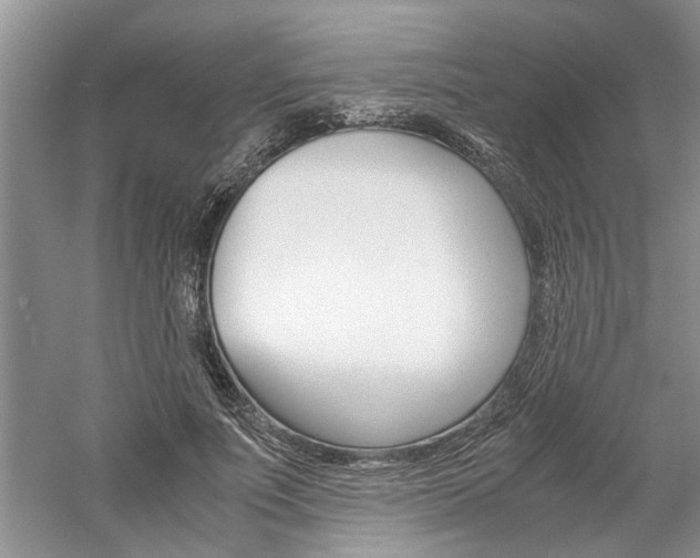 X0000061140691200511181007