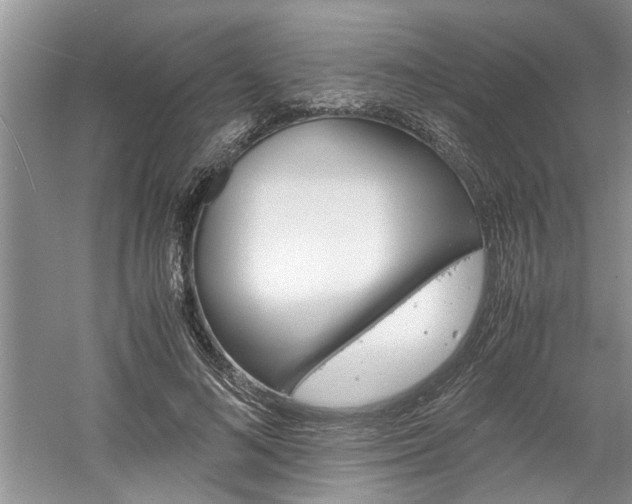 X0000061140692200511181007