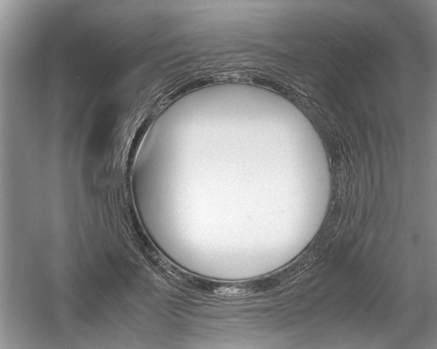 X0000061140699200511181007