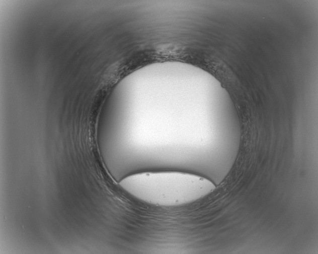 X0000061140706200511181006