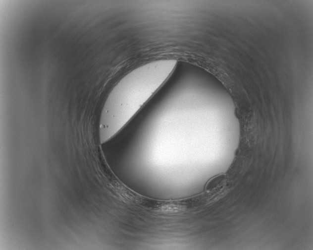 X0000061140708200511181006