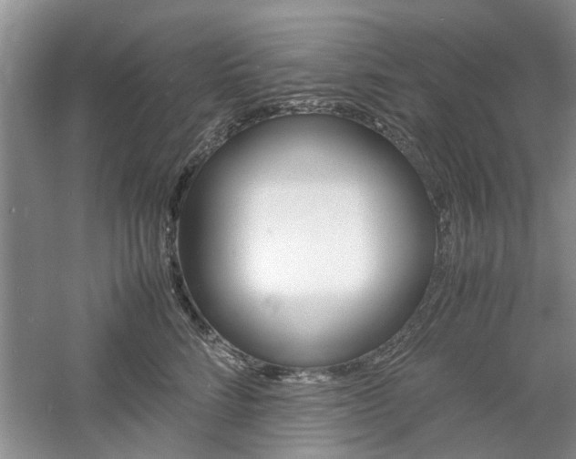 X0000061140712200511181006