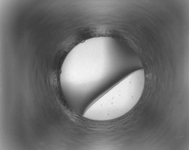 X0000061140715200511181006