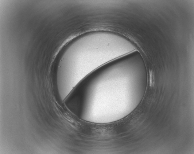 X0000061140723200511181005