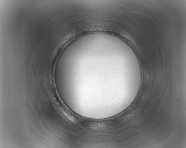 X0000061140729200511181006