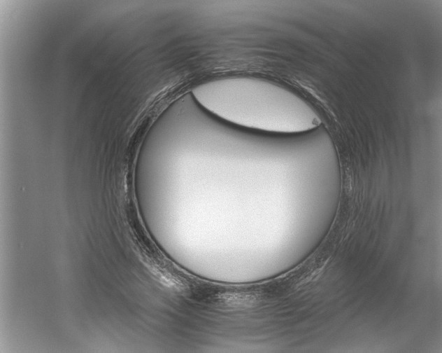 X0000061140733200511181006