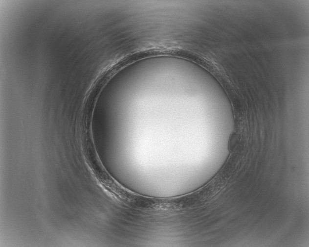 X0000061140736200511181006