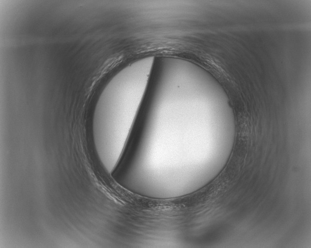 X0000061140738200511181006